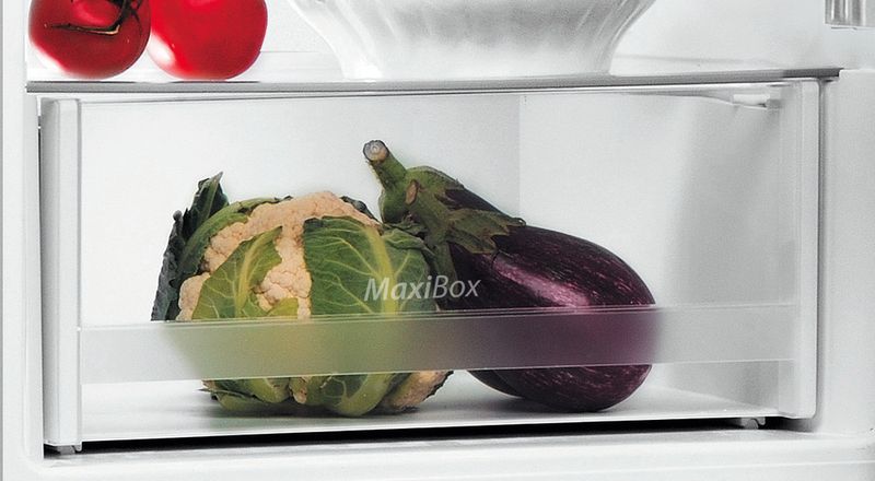 Indesit-Lodowka-z-zamrażarką-Wolnostojące-LI6-S2E-S-Srebrny-Dwudrzwiow-y-a-Drawer